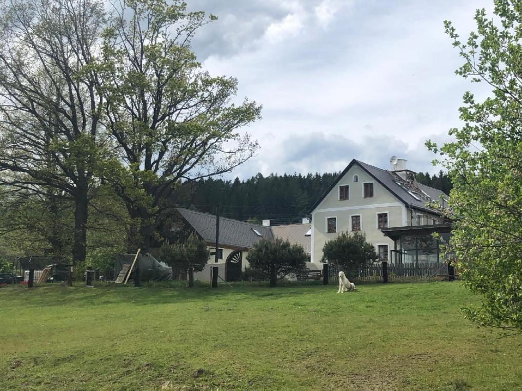 Apartmán Malšín Malsin Exterior foto